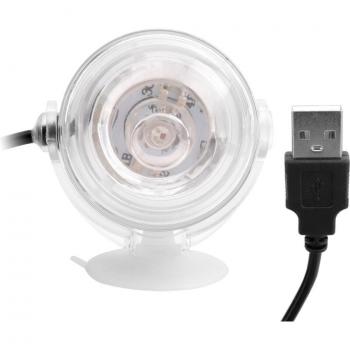 Arrecife Lumina 1W