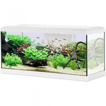Aquarium Poisson Tana LED 80 cm Blanc Zolux 84 L Chauffage