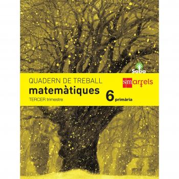 Quadern de matemàtiques. 6 Primària, 3 Trimestre. Saba.