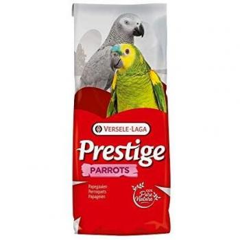 Parrots A Delight