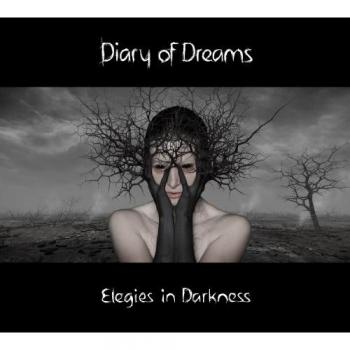 Accession-Tagebuch der Träume – Elegien im Dunkeln (Deluxe-Ausgabe) – Preis ab 12.08.2025