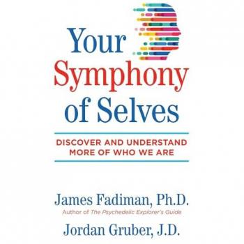 Your Symphony of Selves: Discover and Understand More of Who We Are