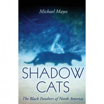 Shadow Cats: The Black Panthers of North America