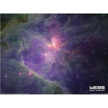 Mosaïque d'Orion en longueur d'onde Nircam