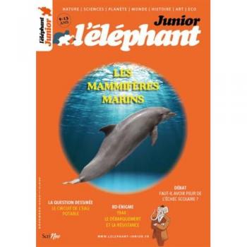 Elephant Junior
