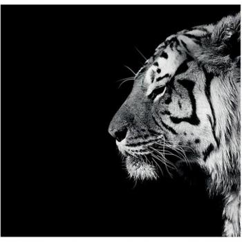 Tigris Noir – Impresión de Nicolás Evariste