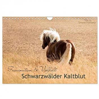 Faszination und Vielfalt