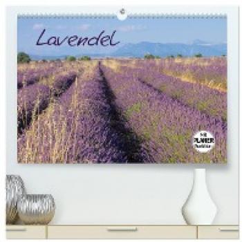 LianeM, LianeM: Lavendel (hochwertiger Premium Wandkalender 2024 DIN A2 quer), Kunstdruck in Hochglanz