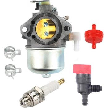 Carburateur Moto Walbro 17,5 HP – Ensemble de Remplacement