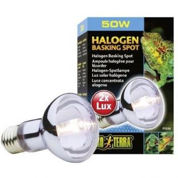 Ampoule Halogène Exo Terra 50 W