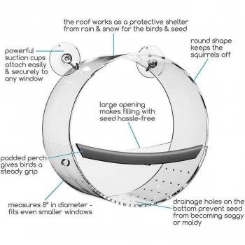 Window Mounted Bird Feeder