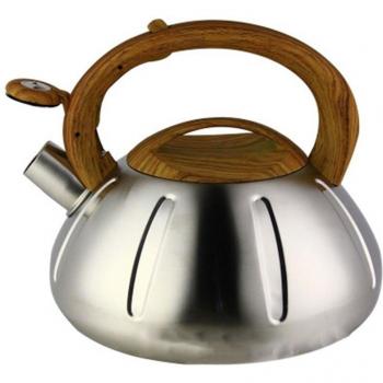 2L Edelstahl Wasserkocher mit Klang