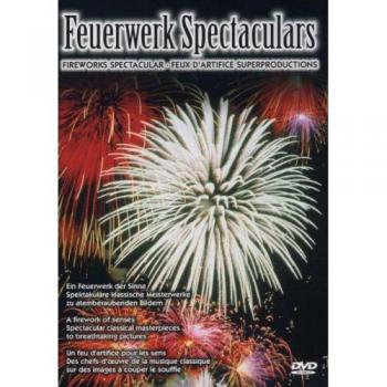 Feu d'Artifice Magnifique