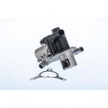 Soupape EGR WAHLER 710965R – Rénovation