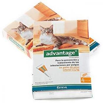 Pipette Antipuce Advantage pour Chats 1-4 kg