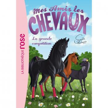 Mes amis les chevaux 02