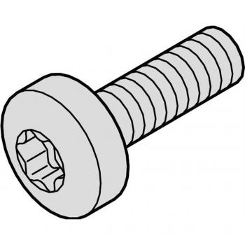 Schroff 24571371 Montaggio 19 Schienale