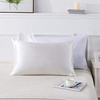 HypoAlloy Mulberry Pillow