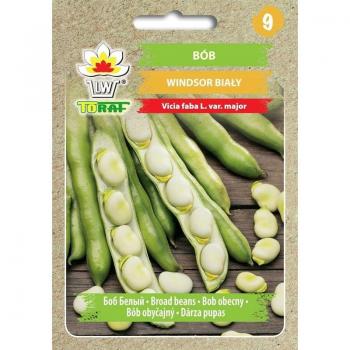 Fagioli Windsor Legumi bianchi per giardino, raccolto ricco e fresco