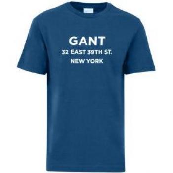 T-shirt Gant Homme Bleu Rich Graphique