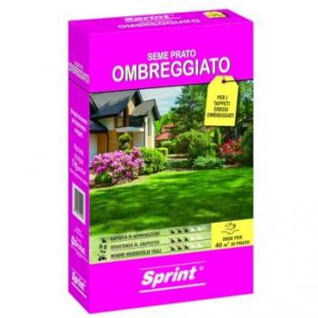 Semina Prato Ombreggiato Sprint 1000 gr