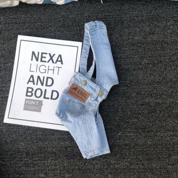 Chaqueta Pantalón Teddy para Perros