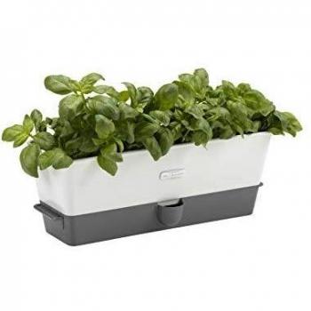 Cole & Mason Self-Watering Herb Keeper, Triple
