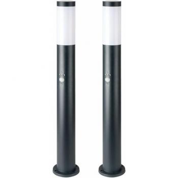 Set di Lampade Terrena RGB in Acciaio Inox 2 Unità con Telecomando, Motion Sensor e Regolazione Luminosità