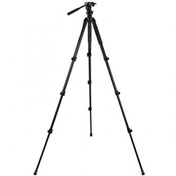 Celestron Regal Premium Aluminum Tripod with 2-Way Pan Head