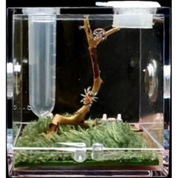 Jaula Procrea Spider‑Nano