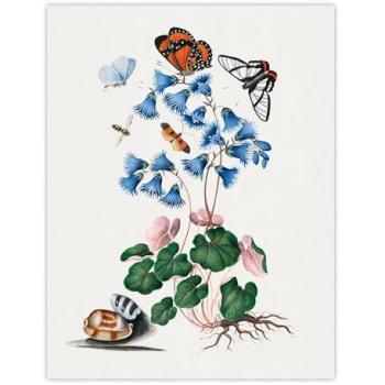 Serene Whites: Bolton Flower & Butterfly Print