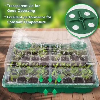 Seedling Starter Box with Lid