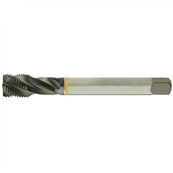 Taraud D374 °C M22 x 1,5 FORUM
