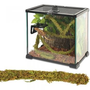 ReptiZoo Mini-Moosast