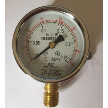 0-0.25MPa Y60 Standard Radial Pressure Gauge