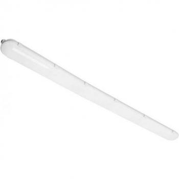 Forlight Grey IP65 Outdoor LED Surface Light