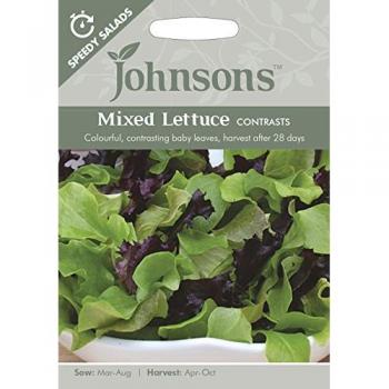 Lettuce Medley Seed Mix