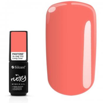 Silcare Flexy Gel per Nail Art