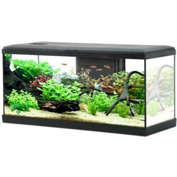 Aquarium Tana 63L
