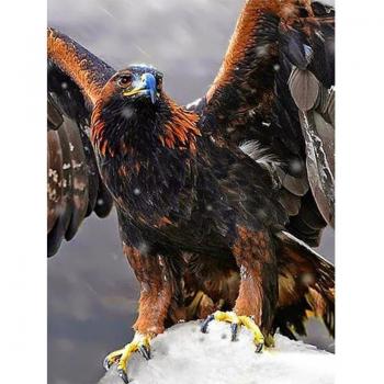 Pittura Diamante 5D Fai Da Te Vulture al Crepuscolo