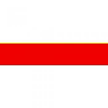 Bandera Urbana de Münster – Edición Especial XL