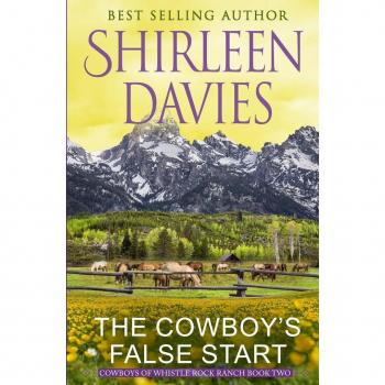 The Cowboy's False Start: Clean as a Whistle Contemporary Western Romance (Cowboys of Whistle Rock Ranch, Band 2)