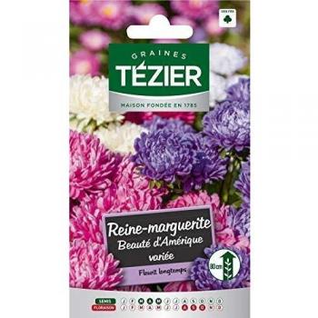 Tezier