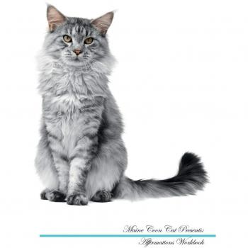 Maine Coon Cat Affirmations Workbook Maine Coon Cat Presents: Positive and Loving Affirmations Workbook. Includes: Mentoring Questions, Guidance, Supporting You.