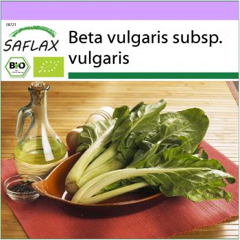 Organic Chard Bundle – Safflax 150 Seeds