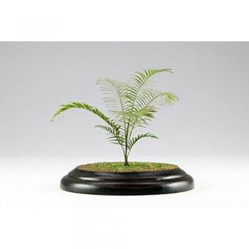 Erste Generation Areca Palm – Platz Scale Kit (PHK12‑01)