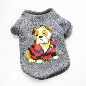 Ropa de Otoño e Invierno para Mascotas