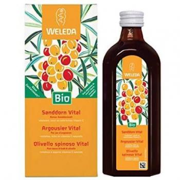 OLIVELLO SPINOSO VITAL SUCCO