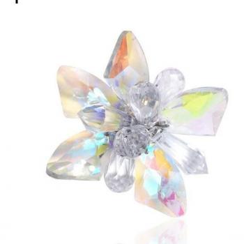 Par de Zapatos de Novia con Clip Iridenscent