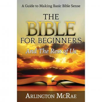 The Bible For Beginners And The Rest of Us: A Guide to Making Basic Bible Sense
